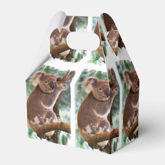 Koala Beer Bedankdoosjes (Achterkant)