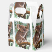 Koala Beer Bedankdoosjes (Geopend)