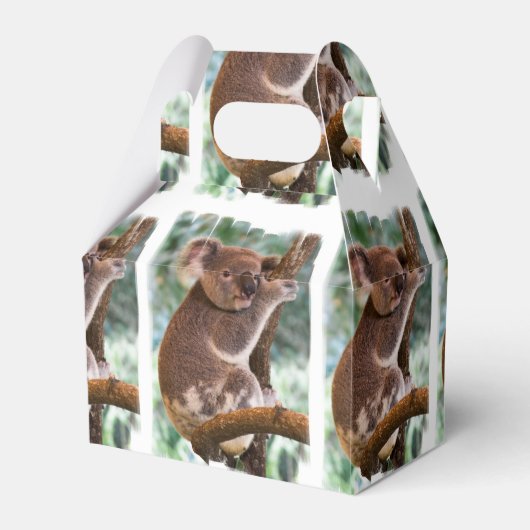 Koala Beer Bedankdoosjes (Voorkant Zijde)
