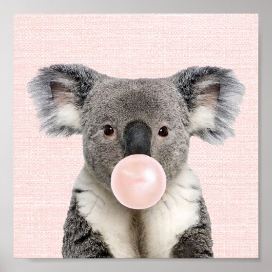 KOALA BEER BLAAT EEN ROZE KAUWGOM POSTER (Voorkant)