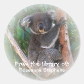 Koala Beer Bookplate Sticker (Voorkant)