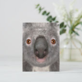 Koala beer briefkaart (Staand voorkant)