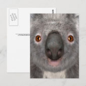 Koala beer briefkaart (Voorkant / Achterkant)