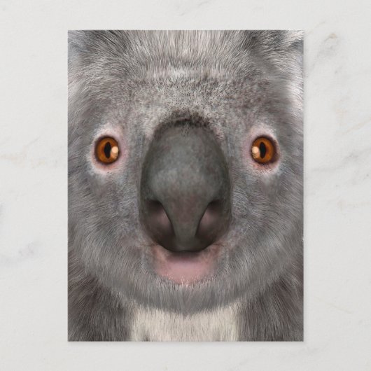 Koala beer briefkaart (Voorkant)