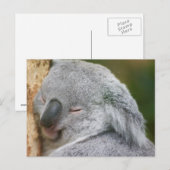 Koala Beer Briefkaart (Voorkant / Achterkant)