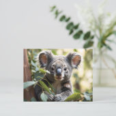 Koala Beer Briefkaart (Staand voorkant)