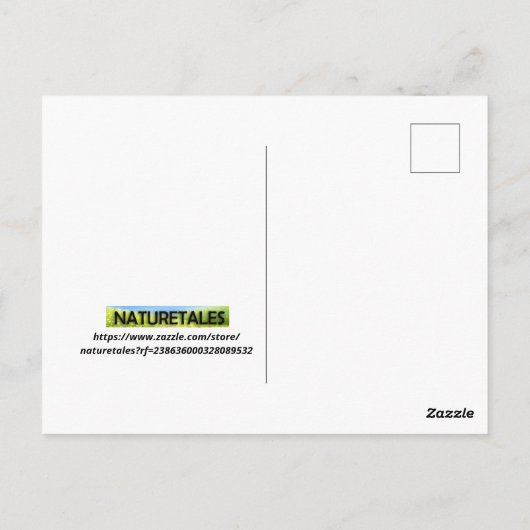 Koala Beer Briefkaart (Achterkant)