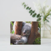 Koala Beer Briefkaart (Staand voorkant)