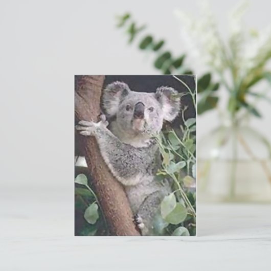 Koala Beer Briefkaart (Staand voorkant)