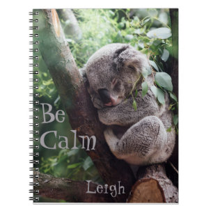 Koala Beer, Cute Animals, Journal Notitieboek