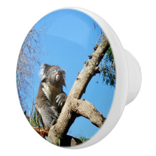 Koala Beer de zin van het leven, Keramische Knop
