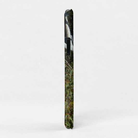 Koala-Beer die in de gomboom slapen, Case-Mate iPhone Case (Achterkant/rechts)