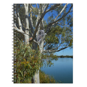 Koala-Beer die in de gomboom slapen, Notitieboek