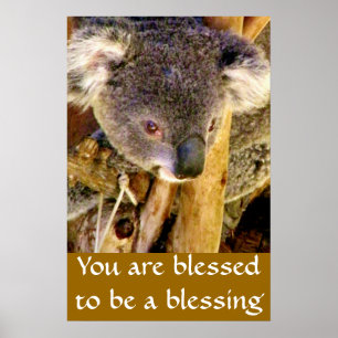 Koala-Beer en -bericht_ Poster