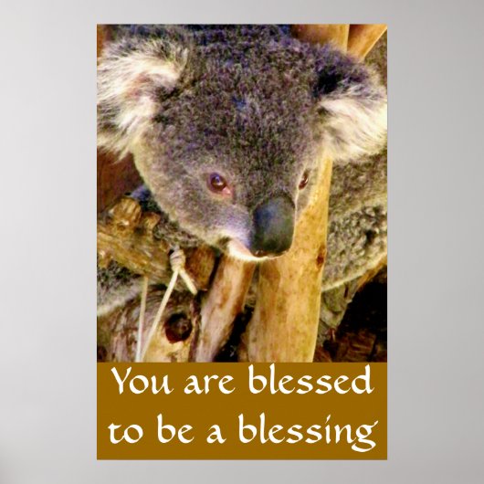 Koala-Beer en -bericht_ Poster (Voorkant)