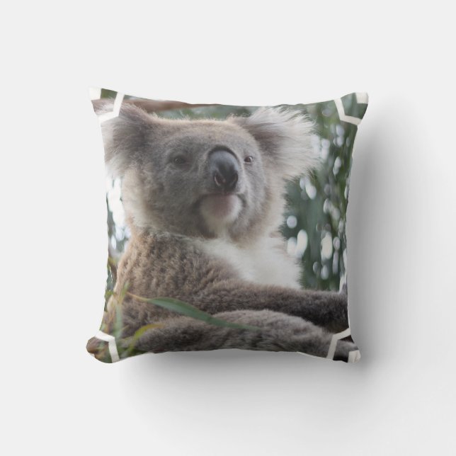 Koala Beer Facts Pillow Kussen (Voorkant)