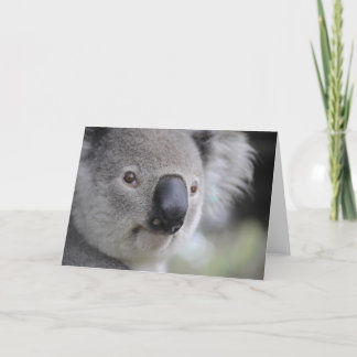 Koala-Beer Feestdagen Kaart