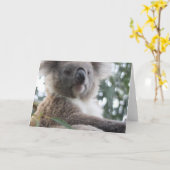 Koala Beer Feiten Wenskaarten Kaart (Gele Bloem)