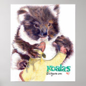 Koala Beer Fine Art Print en Poster (Voorkant)