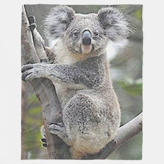 KOALA BEER FLEECE DEKEN (Voorkant)