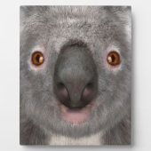 Koala beer fotoplaat (Voorkant)