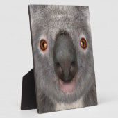 Koala beer fotoplaat (Zijkant)