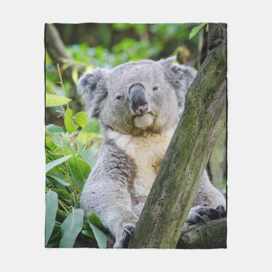 Koala Beer Grote vlootsbank Fleece Deken (Voorkant)