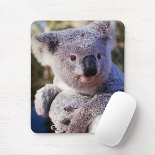 Koala Beer Holding A Koala Beer Muismat (Met muis)