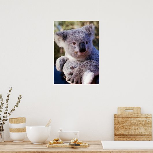 Koala Beer Holding A Koala Beer Poster (Keuken)