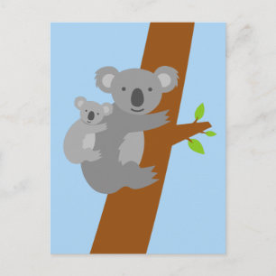 Koala beer illustratie briefkaarten