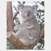 Koala-Beer in Blanket van Tree Fleece (Voorkant)