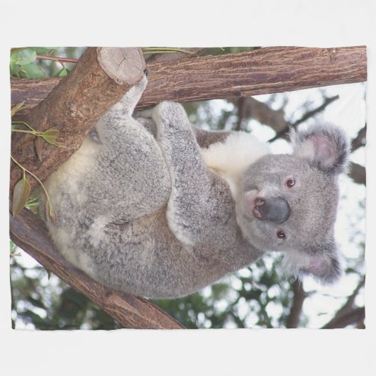 Koala-Beer in Blanket van Tree Fleece (Voorkant (Horizontaal))