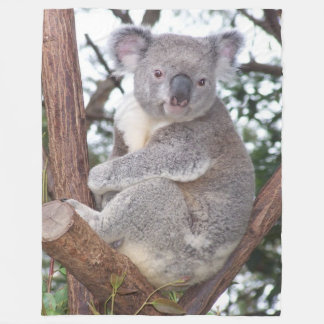 Koala-Beer in Blanket van Tree Fleece Deken