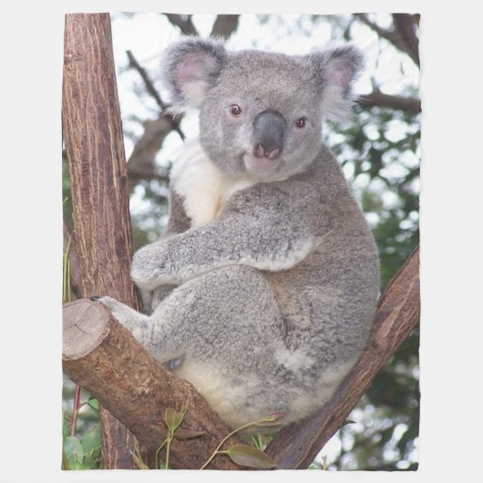 Koala-Beer in Blanket van Tree Fleece Deken (Voorkant)