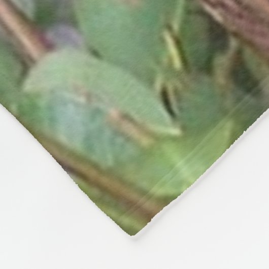 Koala-Beer in Blanket van Tree Fleece Deken (Hoek)