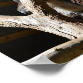 Koala Beer in Cubby House, Poster (Hoek)