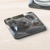 Koala-Beer in de boom Drankjes Onderzetter (Linkerzijde)