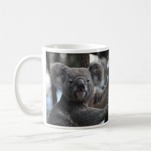 Koala-Beer in de boom Koffiemok