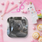 Koala-Beer in de boom Papieren Bordje (Feest)