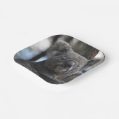 Koala-Beer in de boom Papieren Bordje (Gebogen)