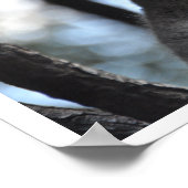 Koala-Beer in de boom Poster (Hoek)