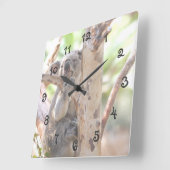 Koala-Beer in een boom Vierkante Klok (Hoek)