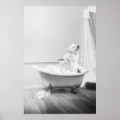 Koala-Beer in een Poster in bad (Voorkant)