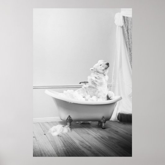 Koala-Beer in een Poster in bad (Voorkant)