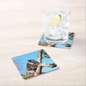 Koala Beer in oude dennenboom, Kartonnen Onderzetters (Insitu)