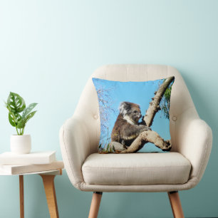Koala Beer in oude dennenboom, Kussen