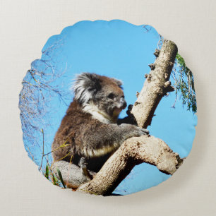 Koala Beer in oude dennenboom, Rond Kussen