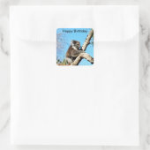 Koala Beer in oude dennenboom, Vierkante Sticker (Tas)