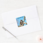 Koala Beer in oude dennenboom, Vierkante Sticker (Envelop)