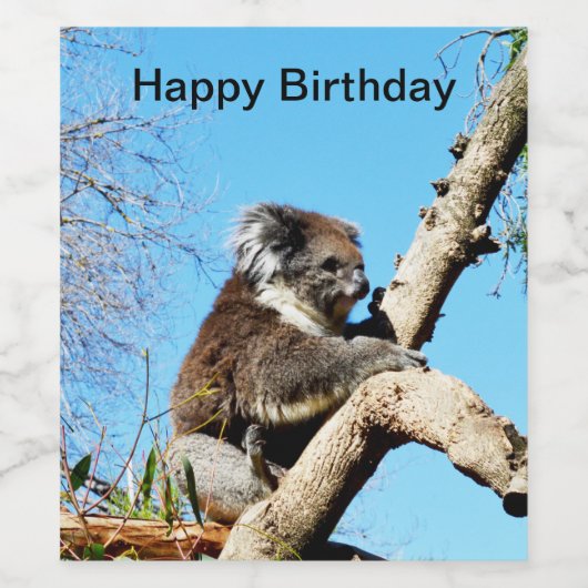 Koala Beer in oude dennenboom, Wijn Etiket (Enkel label)